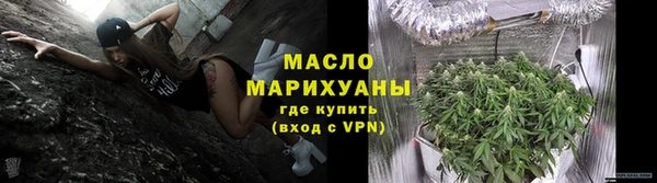 стаф Каменка