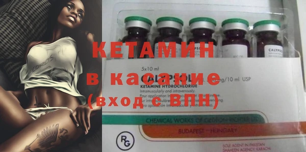 мяу мяу мука Каменногорск