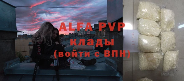 стаф Каменка