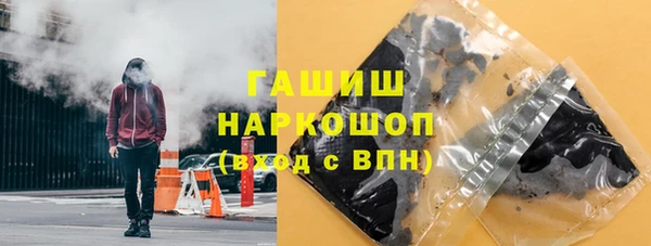 стаф Каменка