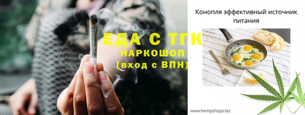 стаф Каменка