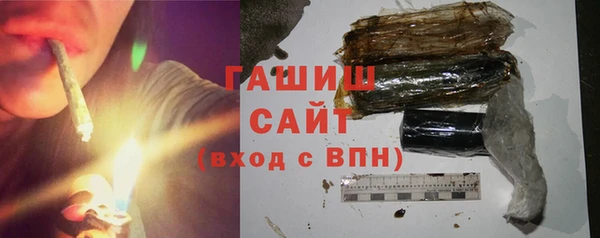 стаф Каменка