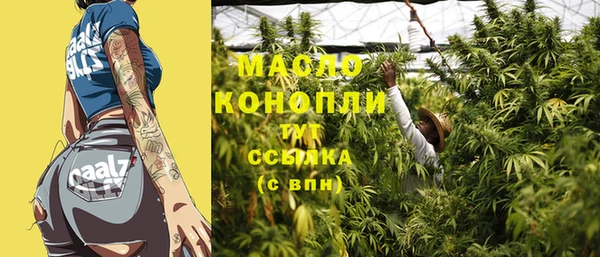стаф Каменка
