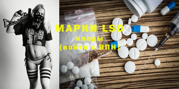 стаф Каменка