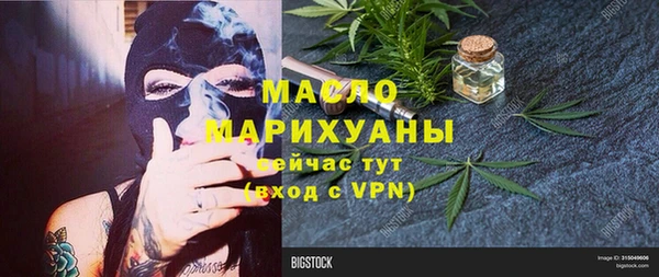 стаф Каменка