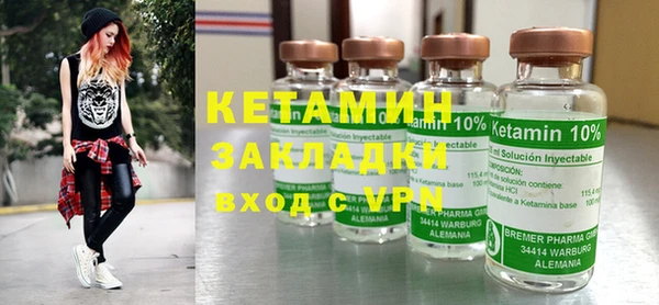 стаф Каменка