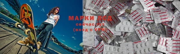 стаф Каменка