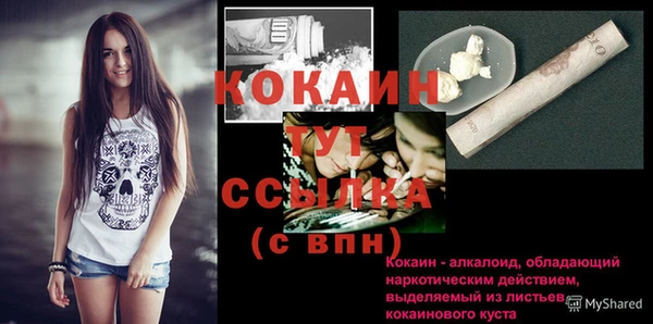 стаф Каменка